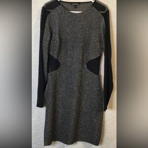 Express Black Sheer Women's Dress 8